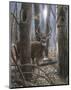 Woodland Sentry-Kevin Daniel-Mounted Giclee Print