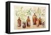 Woodland Still Life I-Julia Purinton-Framed Stretched Canvas