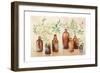 Woodland Still Life I-Julia Purinton-Framed Art Print