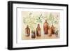 Woodland Still Life I-Julia Purinton-Framed Art Print