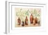 Woodland Still Life I-Julia Purinton-Framed Art Print