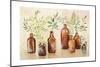 Woodland Still Life I-Julia Purinton-Mounted Art Print