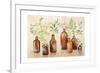 Woodland Still Life I-Julia Purinton-Framed Art Print