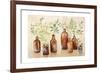 Woodland Still Life I-Julia Purinton-Framed Art Print