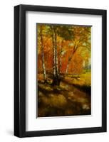 Woodland Stream I-Graham Reynolds-Framed Art Print