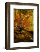 Woodland Stream I-Graham Reynolds-Framed Art Print