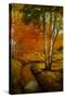 Woodland Stream II-Graham Reynolds-Stretched Canvas