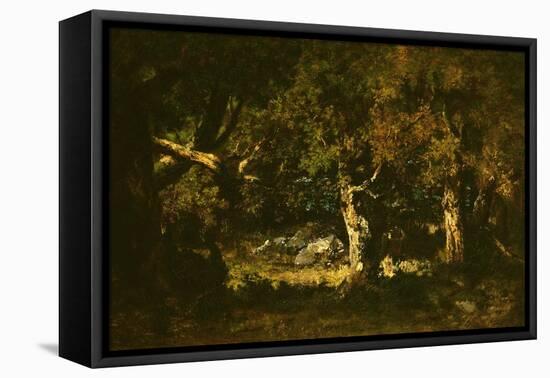 Woodland Thicket-Narcisse Virgile Diaz de la Pena-Framed Stretched Canvas