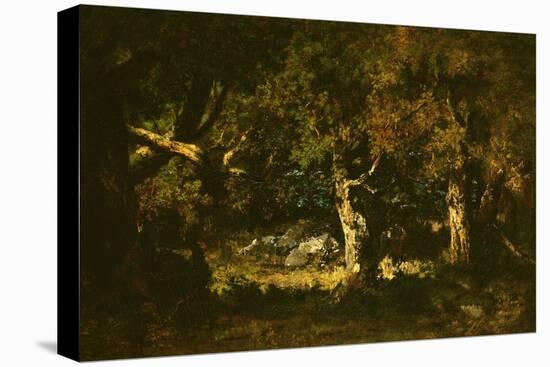 Woodland Thicket-Narcisse Virgile Diaz de la Pena-Stretched Canvas