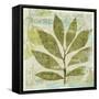 Woodland Thoughts II-Mo Mullan-Framed Stretched Canvas