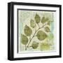 Woodland Thoughts III-Mo Mullan-Framed Art Print