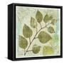 Woodland Thoughts III-Mo Mullan-Framed Stretched Canvas