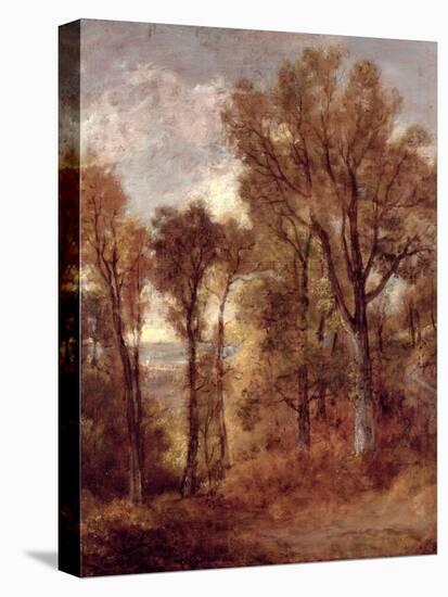 Woodland View in Suffolk-John Constable-Stretched Canvas