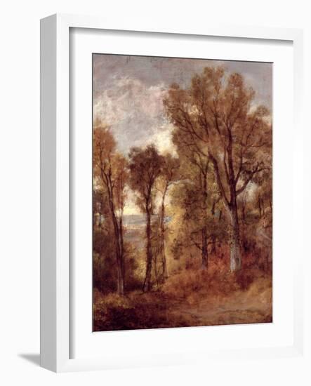 Woodland View in Suffolk-John Constable-Framed Giclee Print