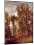 Woodland View in Suffolk-John Constable-Mounted Giclee Print