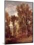 Woodland View in Suffolk-John Constable-Mounted Giclee Print