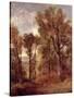 Woodland View in Suffolk-John Constable-Stretched Canvas