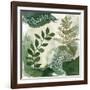 Woodland Walk I-Laura Horn-Framed Art Print