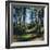 Woodland Walk, Sherwood Forest, Edwinstowe, Nottinghamshire, England-L Bond-Framed Photographic Print