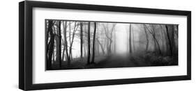 Woodland Walk-Erin Clark-Framed Giclee Print