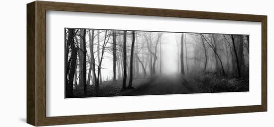 Woodland Walk-Erin Clark-Framed Giclee Print
