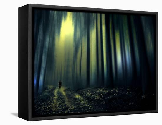 Woodland Walk-Josh Adamski-Framed Stretched Canvas