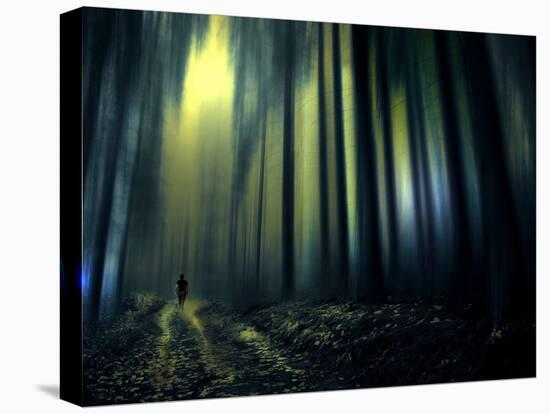 Woodland Walk-Josh Adamski-Stretched Canvas