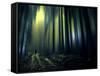 Woodland Walk-Josh Adamski-Framed Stretched Canvas