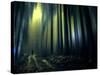 Woodland Walk-Josh Adamski-Stretched Canvas