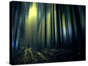 Woodland Walk-Josh Adamski-Stretched Canvas