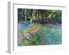 Woodland Wander, 2021 (oil on canvas)-Sylvia Paul-Framed Giclee Print