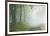 Woodland Way-Iain Sarjeant-Framed Giclee Print