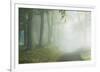 Woodland Way-Iain Sarjeant-Framed Giclee Print