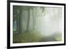 Woodland Way-Iain Sarjeant-Framed Giclee Print