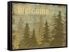 Woodland Welcome II-Daphné B.-Framed Stretched Canvas