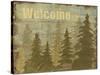 Woodland Welcome II-Daphné B.-Stretched Canvas