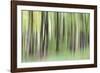 Woodland Whirl-Lee Frost-Framed Giclee Print