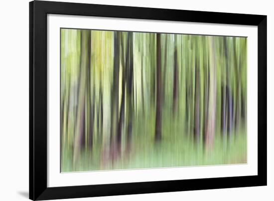 Woodland Whirl-Lee Frost-Framed Giclee Print