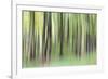 Woodland Whirl-Lee Frost-Framed Giclee Print