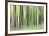 Woodland Whirl-Lee Frost-Framed Giclee Print