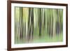 Woodland Whirl-Lee Frost-Framed Giclee Print