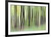 Woodland Whirl-Lee Frost-Framed Giclee Print