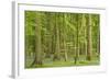 Woodland with Fallen Tree Bluebells Carpet Forest Floor-null-Framed Photographic Print