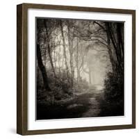 Woodland with Path-Craig Roberts-Framed Photographic Print