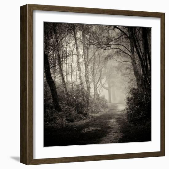 Woodland with Path-Craig Roberts-Framed Photographic Print