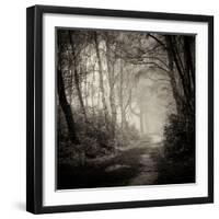 Woodland with Path-Craig Roberts-Framed Photographic Print