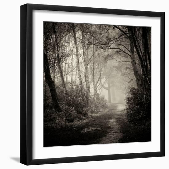 Woodland with Path-Craig Roberts-Framed Photographic Print