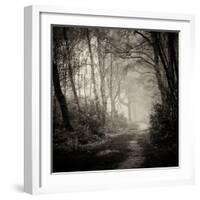 Woodland with Path-Craig Roberts-Framed Photographic Print