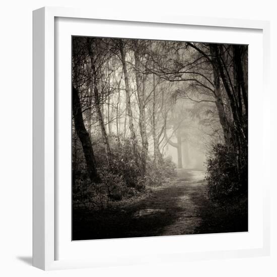 Woodland with Path-Craig Roberts-Framed Photographic Print