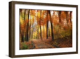 Woodland Wonder-Jessica Jenney-Framed Giclee Print